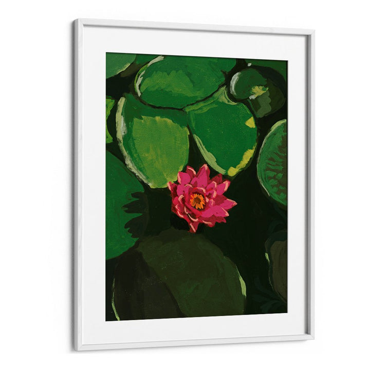 VIBRANT PINK WATER LILY