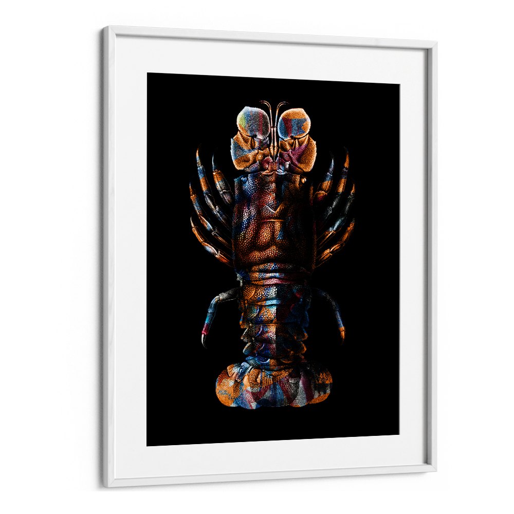 VIBRANT SPINY LOBSTER