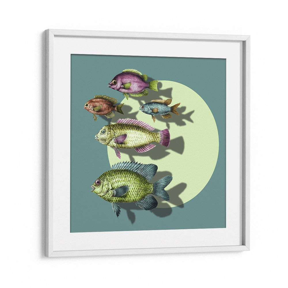 VIBRANT SWIMMING FISH