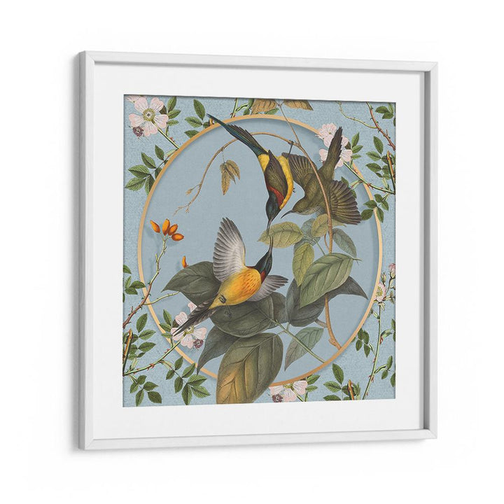 VINTAGE BOTANICAL SUNBIRDS