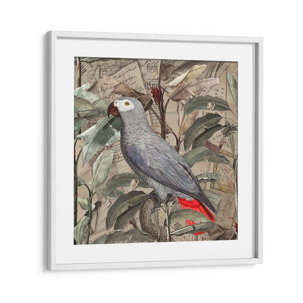 VINTAGE TROPICAL GREY PARROT