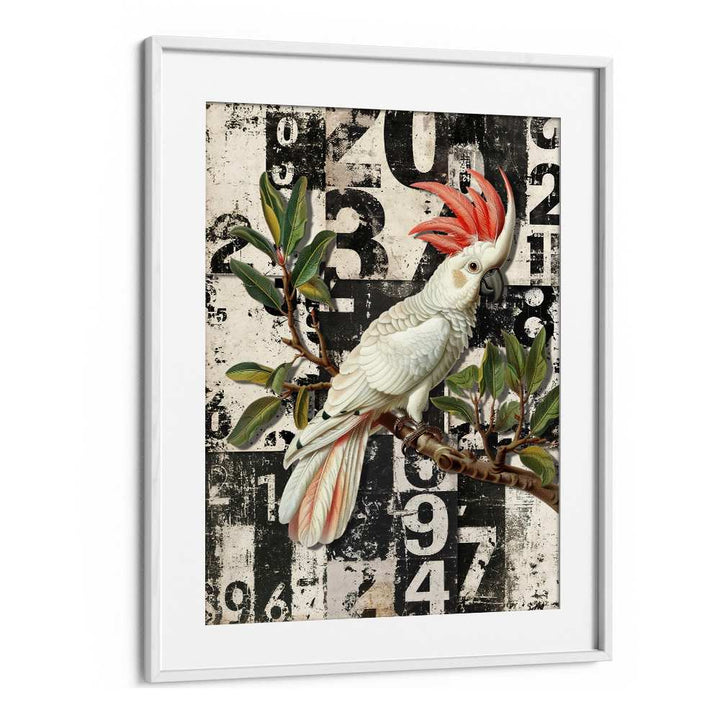 WHITE COCKATOO GRUNGE NUMBERS