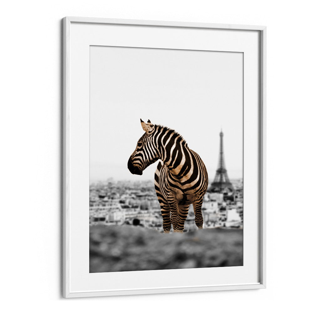 Zebra artwork titled "NO WAY HOME, ANIMAL PAINTINGS" captures adventure and intrigue in a stunning Paris backdrop.