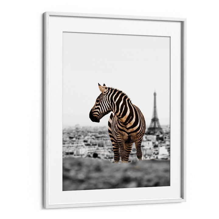 Zebra artwork titled "NO WAY HOME, ANIMAL PAINTINGS" captures adventure and intrigue in a stunning Paris backdrop.