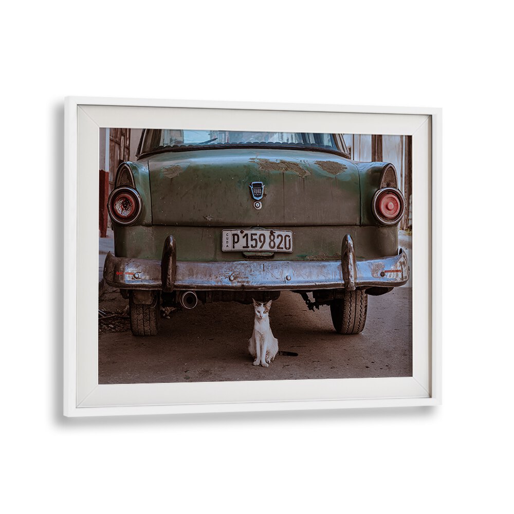 Cuban cat rests under a vintage car, showcasing urban life in Cuba. Explore CUBAN CAT WITH CAR, PHOTOGRAPHY PRINTS.