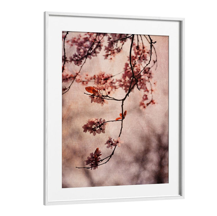 Delicate cherry blossoms showcased in VINTAGE PINK, FLORAL FLOWER PAINTINGS, perfect for enhancing any living space.
