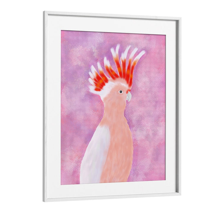 PINK COCATOO BIRD , WILDLIFE PAINTINGS , WILDLIFE POSTERS