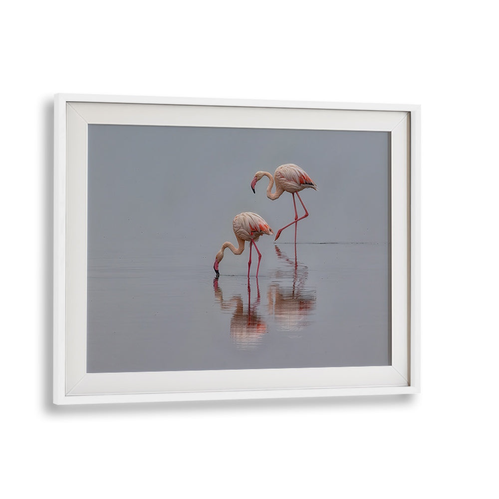 FLAMINGOS BY MICHAEL ZHENG , LANDSCAPE PHOTO PRINTS