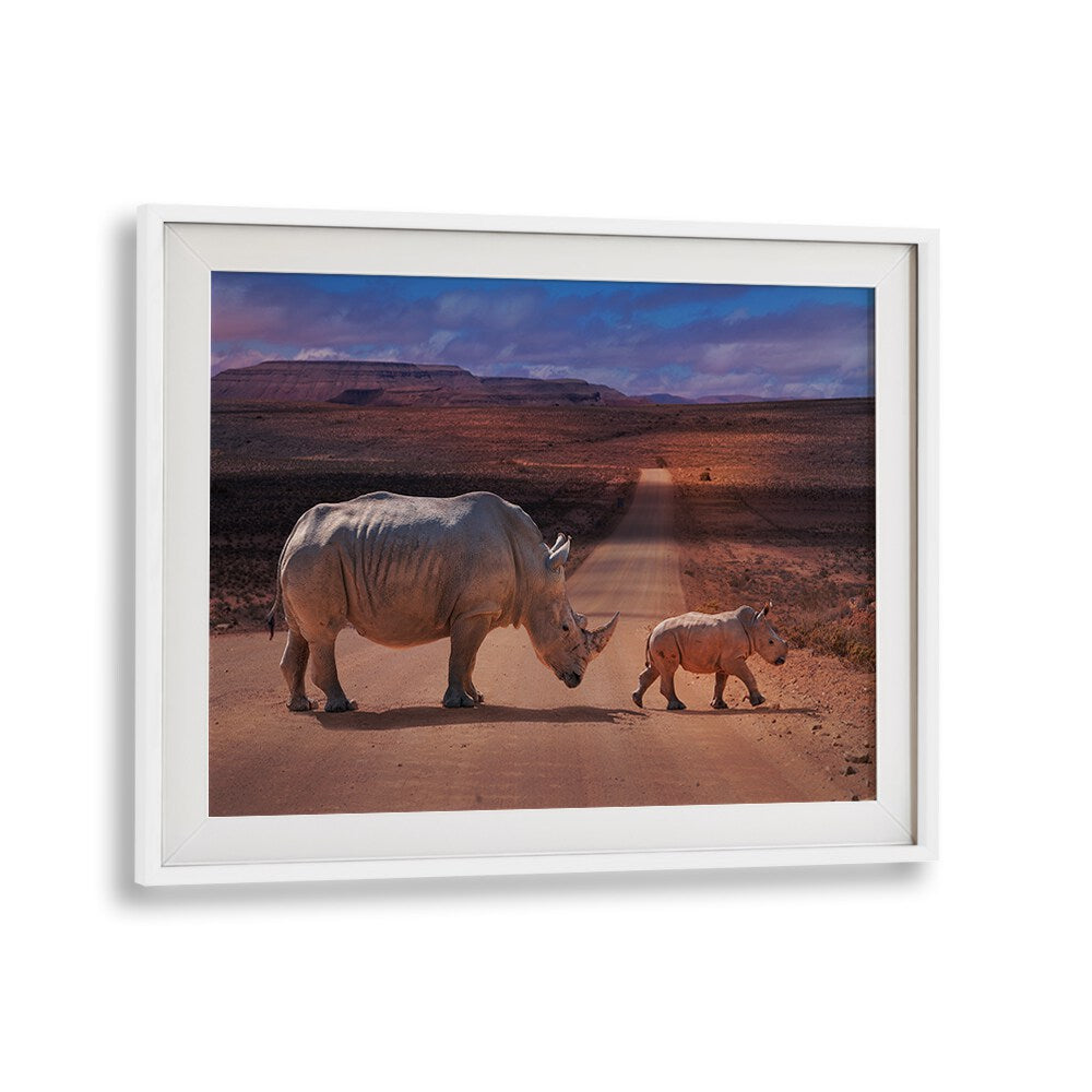 Rhinos Crossing, photography prints showcasing a mother and calf rhino in their stunning natural habitat.