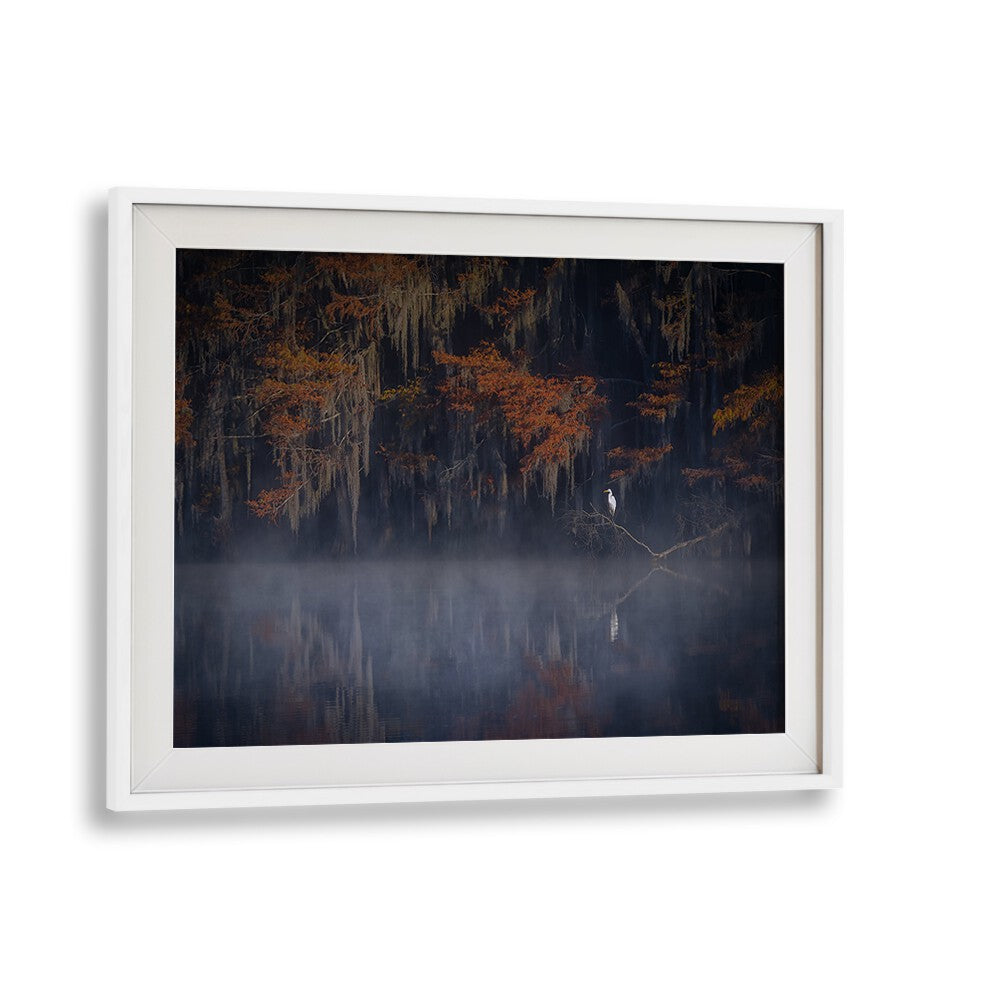 Serene "Misty Morning" photography prints featuring a tranquil landscape shrouded in soft fog and autumn colors.