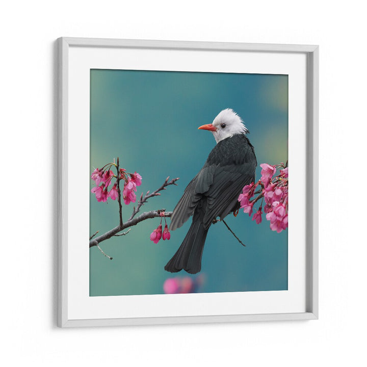 surreal painting - WHITE-HEADED BLACK BULBUL by Asianmonk