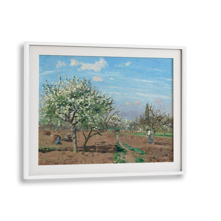 ORCHARD IN BLOOM, LOUVECIENNES (1872) , VINTAGE PAINTINGS