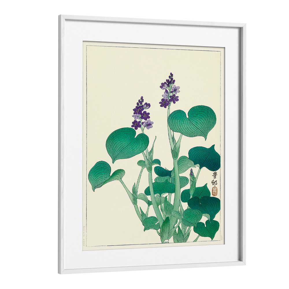 BLOOMING HOSTA (1920 - 1930)  , JAPANESE PAINTINGS , JAPANESE ART PRINTS