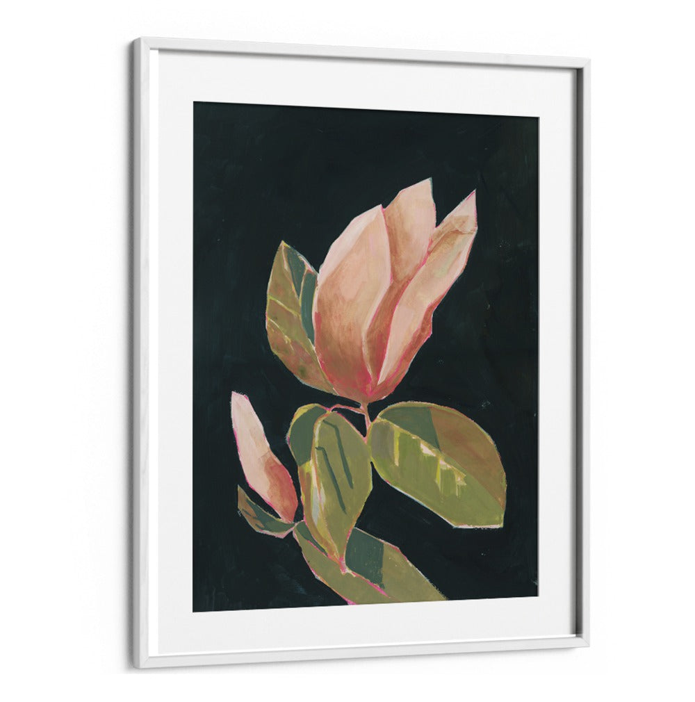 MAGNOLIA IN DARK BACKGROUND