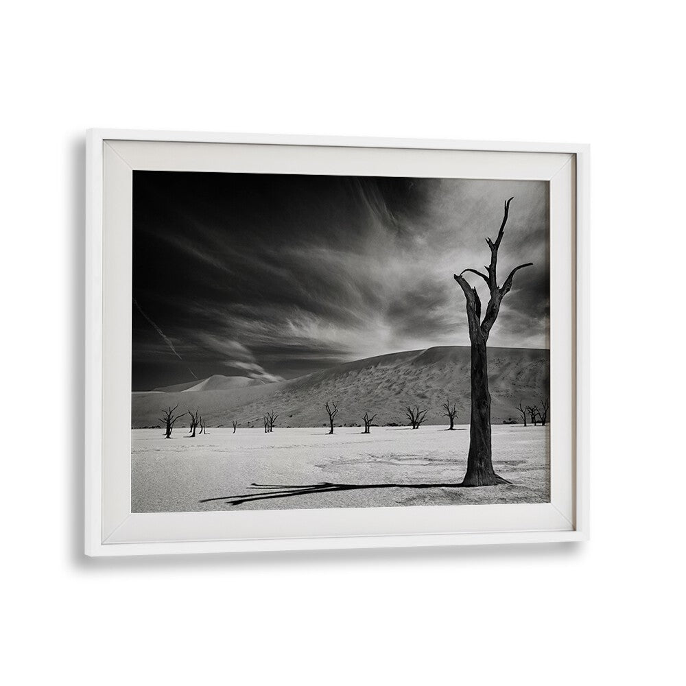 Haunting landscape featuring dead trees, perfect for fans of THE ARMY OF THE DEAD, PHOTOGRAPHY PRINTS by WhiteMount.