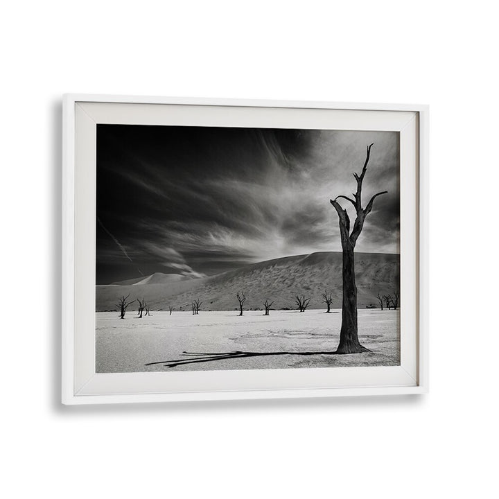 Haunting landscape featuring dead trees, perfect for fans of THE ARMY OF THE DEAD, PHOTOGRAPHY PRINTS by WhiteMount.