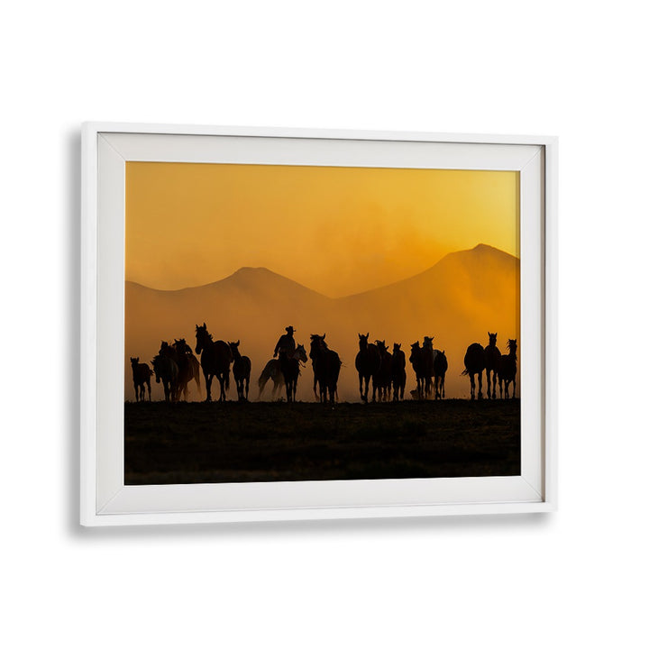Stunning sunset scene featuring horses, showcasing "AS THE SUN GOES DOWN, PHOTOGRAPHY PRINTS" collection.