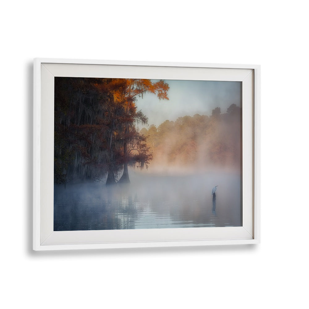 A TRANQUIL MORNING AT CADDO LAKE BY MICHAEL ZHENG , LANDSCAPE PHOTO PRINTS