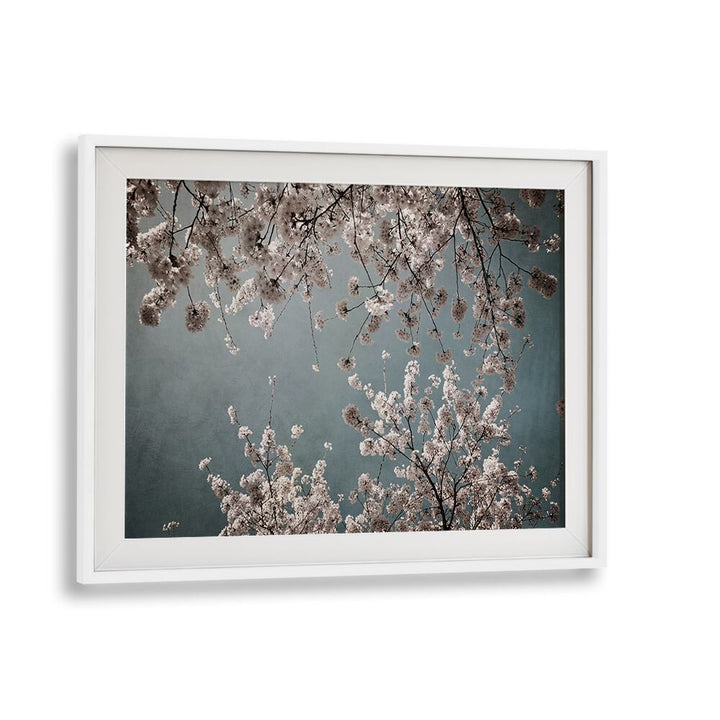Elegant MOODY SPRING, FLORAL FLOWER PAINTINGS showcasing delicate blossoms against a serene backdrop, perfect for spring decor.