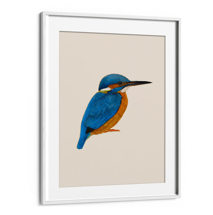 RAINFOREST REBEL , ANIMAL PAINTINGS featuring a vibrant blue and orange kingfisher bird in a white frame from WhiteMount.
