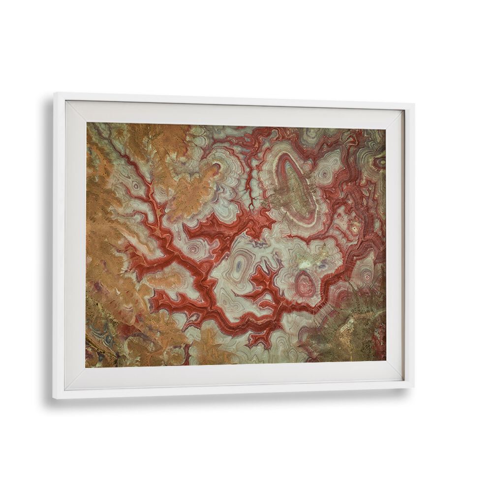Stunning RED DRAGON OF THE BADLANDS, PHOTOGRAPHY PRINTS showcasing nature's raw beauty and spirit in vibrant colors.