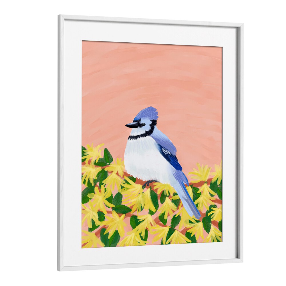 BLUE JAY BIRD , WILDLIFE PAINTINGS , WILDLIFE POSTERS