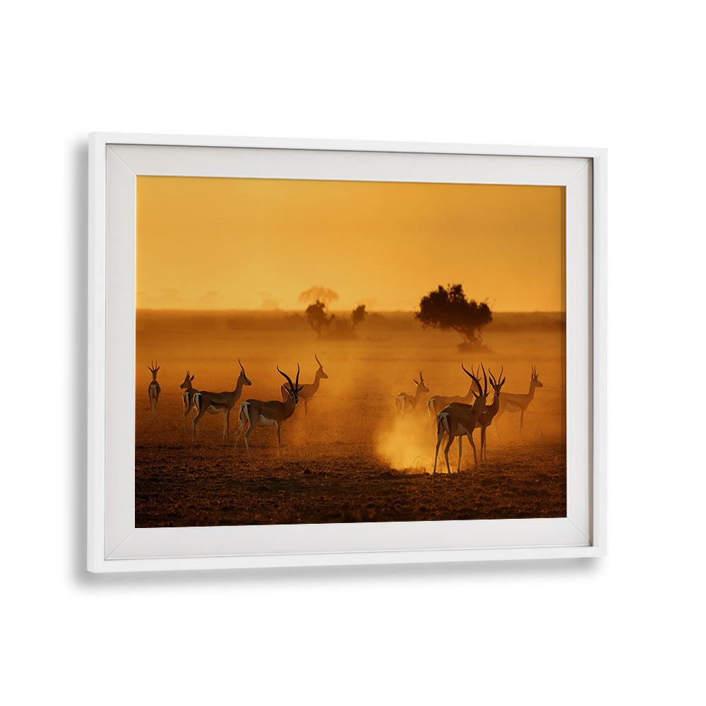 SENTINELS, PHOTOGRAPHY PRINTS showcase majestic wildlife in a stunning sunset backdrop, perfect for nature lovers.