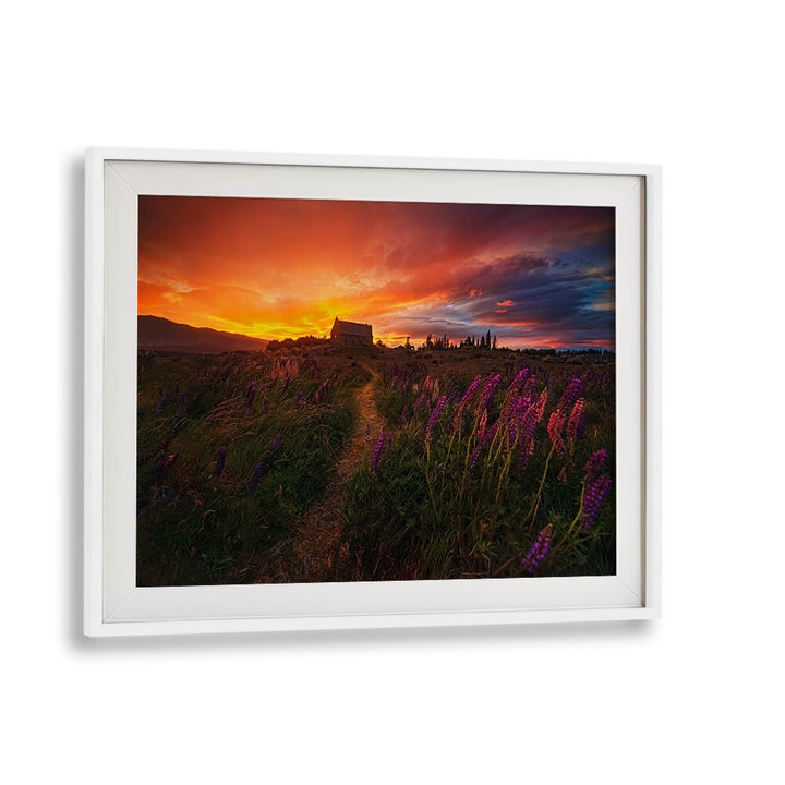 Stunning sunset landscape featuring vibrant flowers, perfect for showcasing IN THE WIND, PHOTOGRAPHY PRINTS in your space.