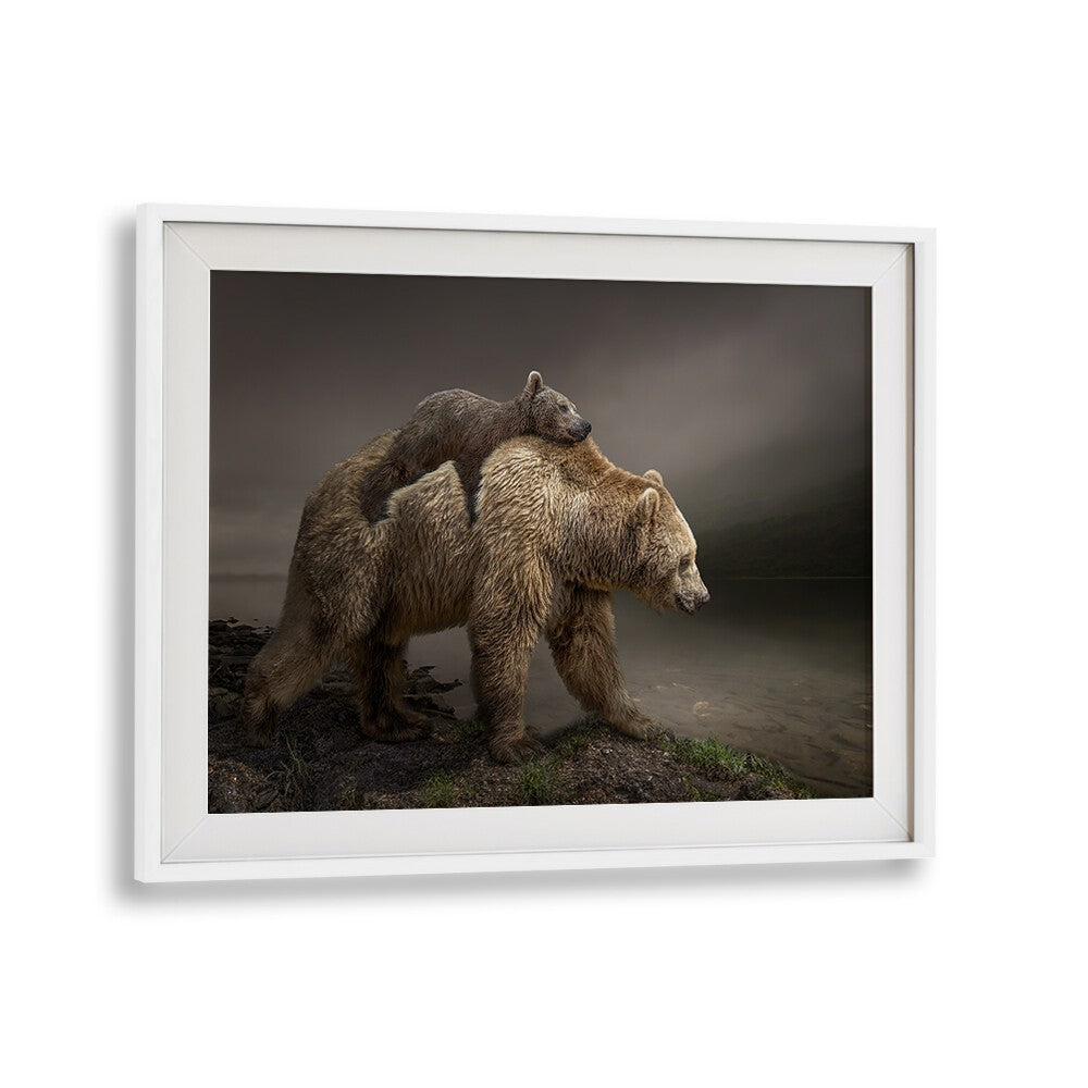 Whimsical BABY BEAR, PHOTOGRAPHY PRINTS showcase a cozy moment between a bear and its cub in serene nature.
