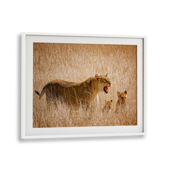 Breathtaking wildlife scene featuring a lioness and cubs, perfect for DONT DISTURB ME, PHOTOGRAPHY PRINTS collection.
