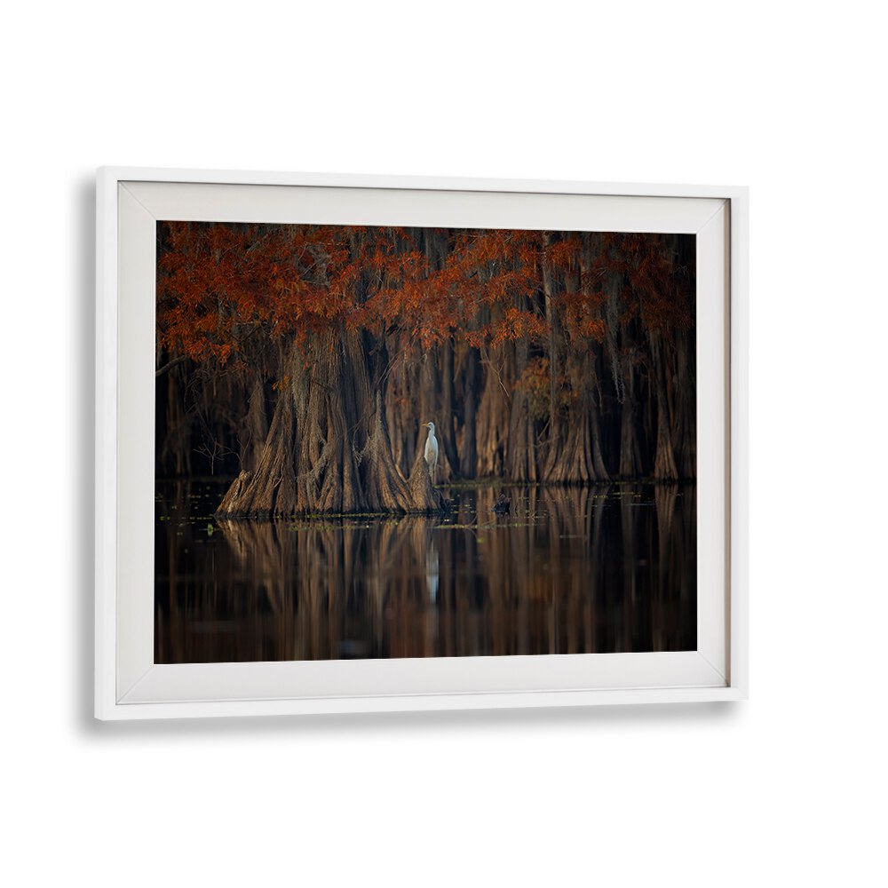 Stunning TRANQUIL LAKE, PHOTOGRAPHY PRINTS showcasing serene reflections and autumn hues, perfect for your space.