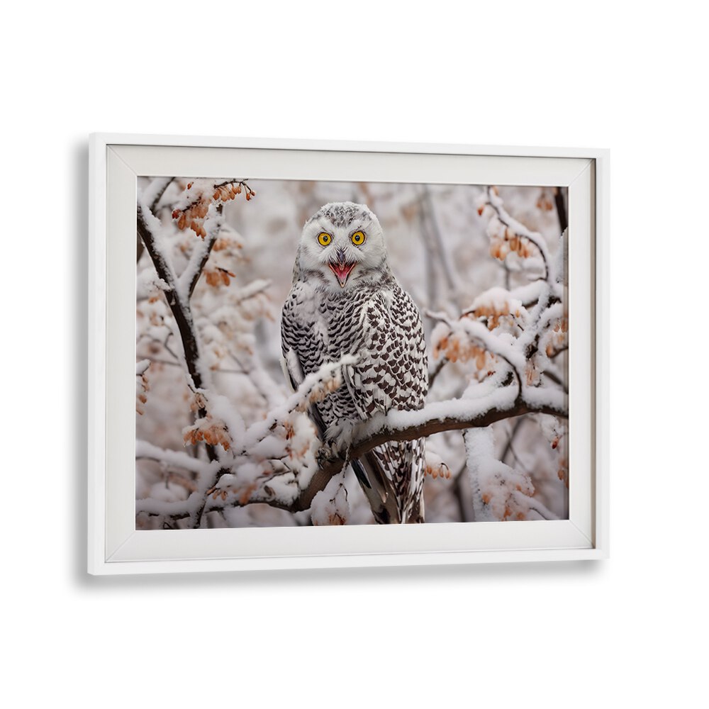 Stunning SNOW OWL, PHOTOGRAPHY PRINTS showcasing a majestic owl perched on a snowy branch, perfect for wildlife lovers.