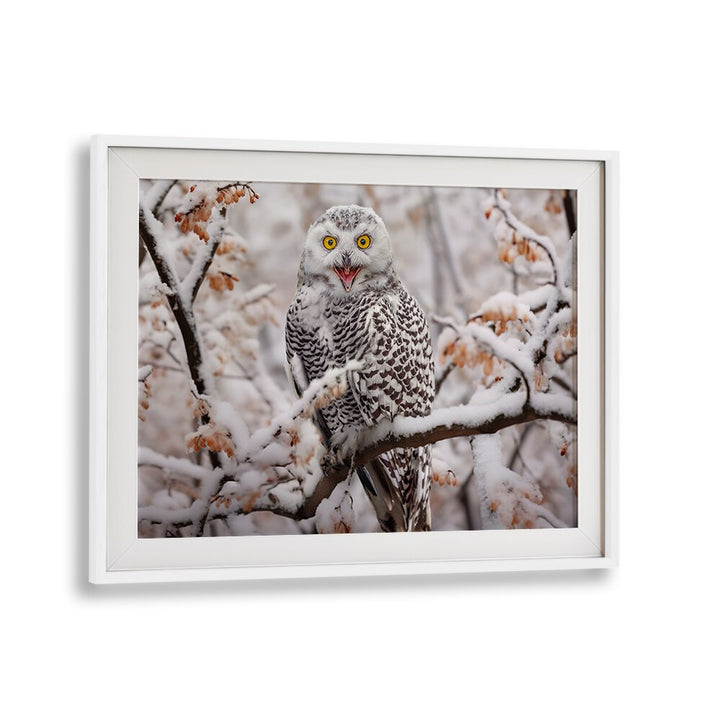 Stunning SNOW OWL, PHOTOGRAPHY PRINTS showcasing a majestic owl perched on a snowy branch, perfect for wildlife lovers.