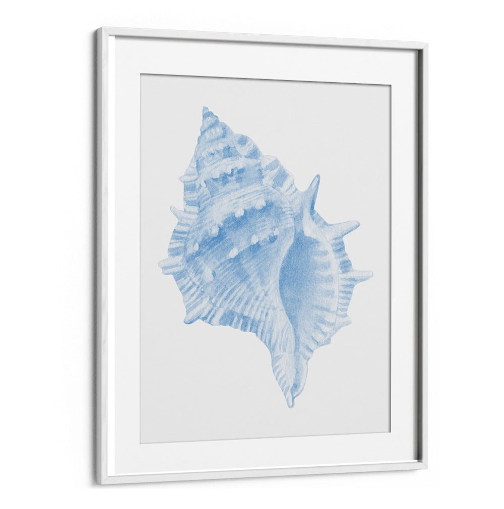 Stunning ONE BLUE CONCH, BEACH PAINTINGS, capturing ocean beauty for your coastal-themed home decor.