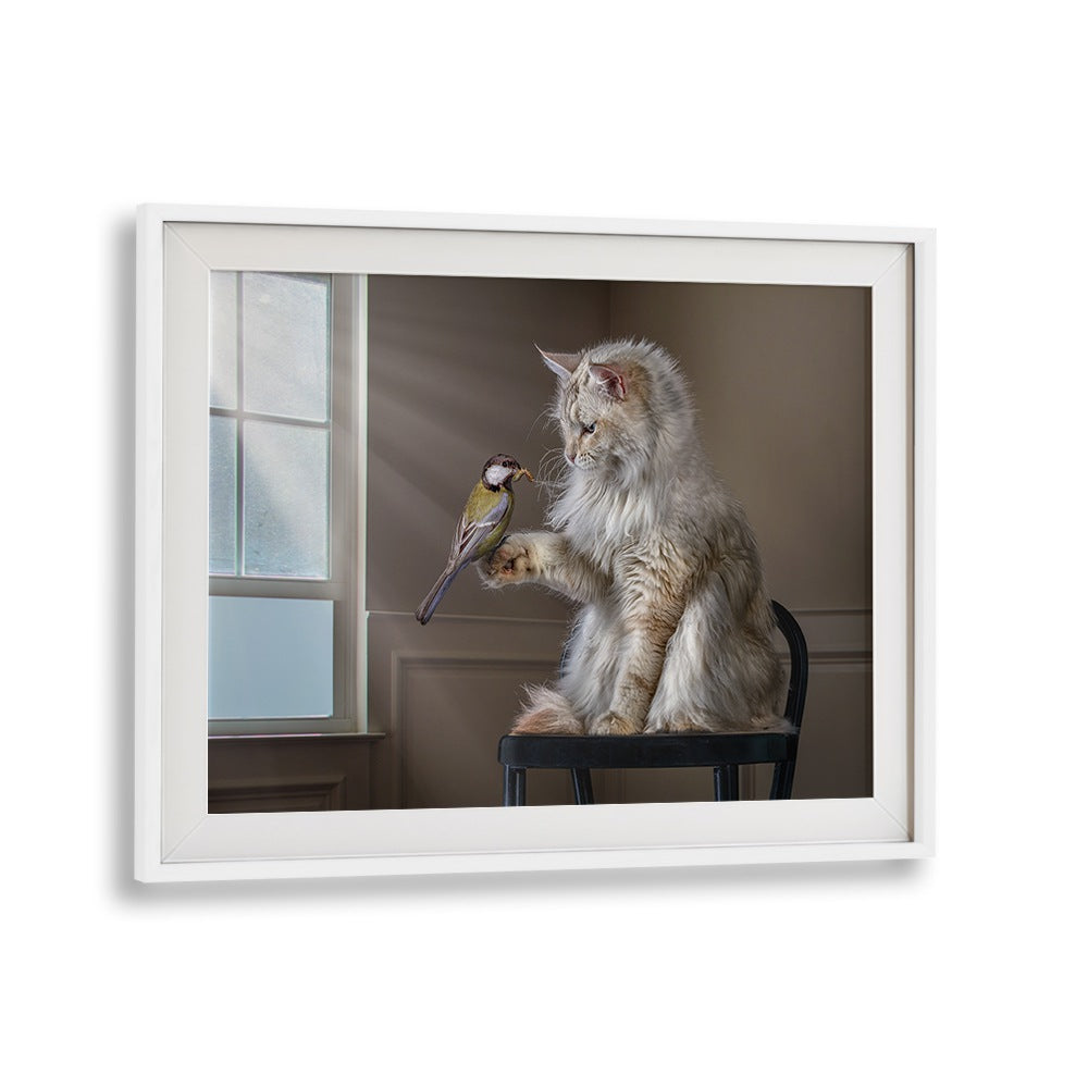 Whimsical cat and bird scene showcasing HELLO FRIEND, PHOTOGRAPHY PRINTS that inspire creativity and imagination.