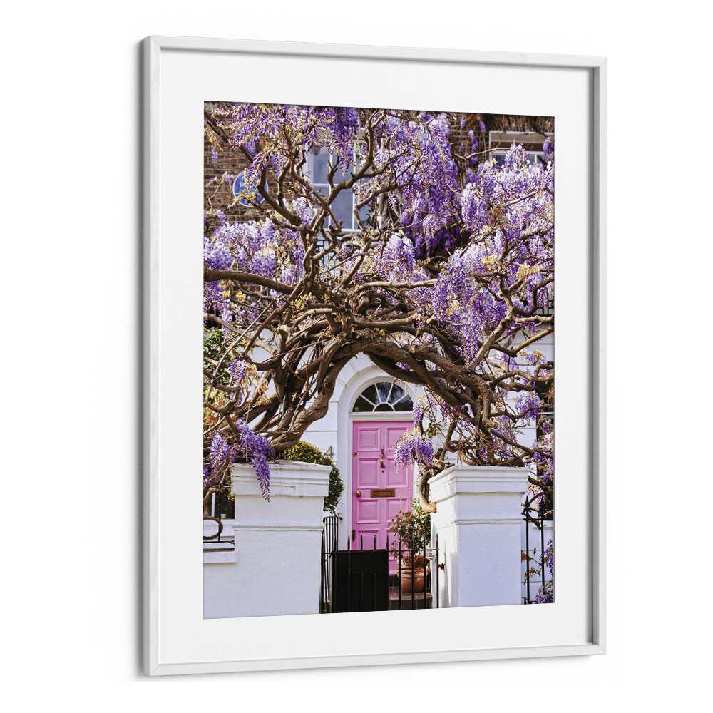 WISTERIA DREAMS , STREET PHOTOGRAPHY ART PRINTS