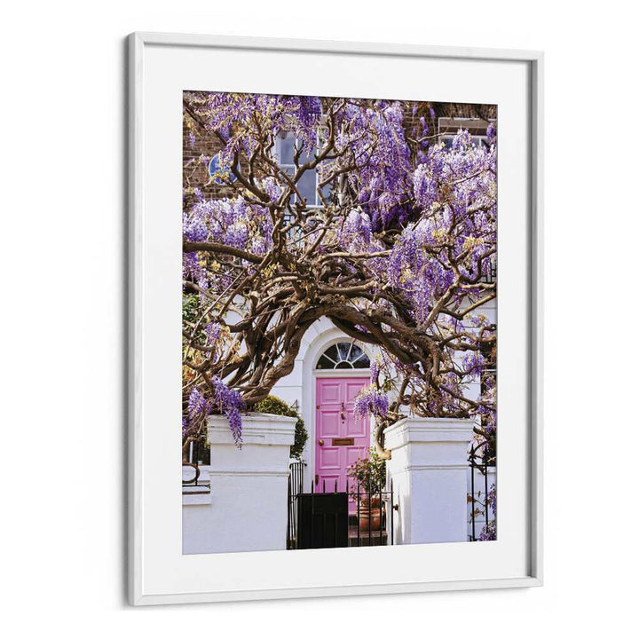 WISTERIA DREAMS , STREET PHOTOGRAPHY ART PRINTS