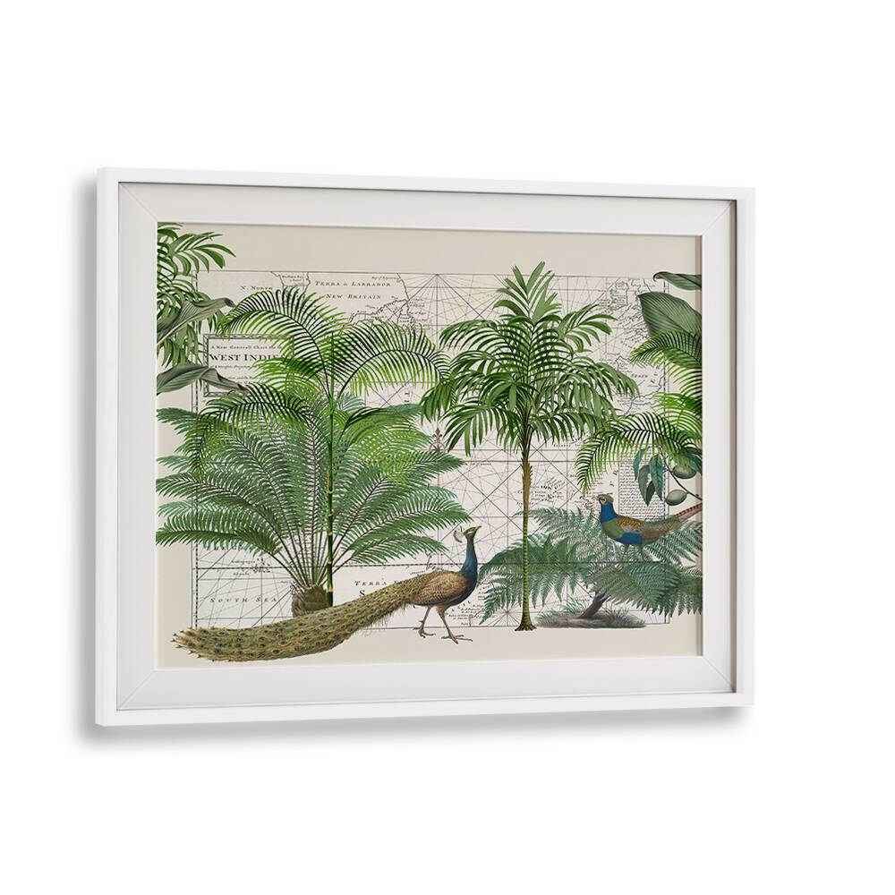 TROPICAL EMPIRE VI BY ANDREA HAASE , WILDLIFE POSTERS , WILDLIFE PAINTINGS