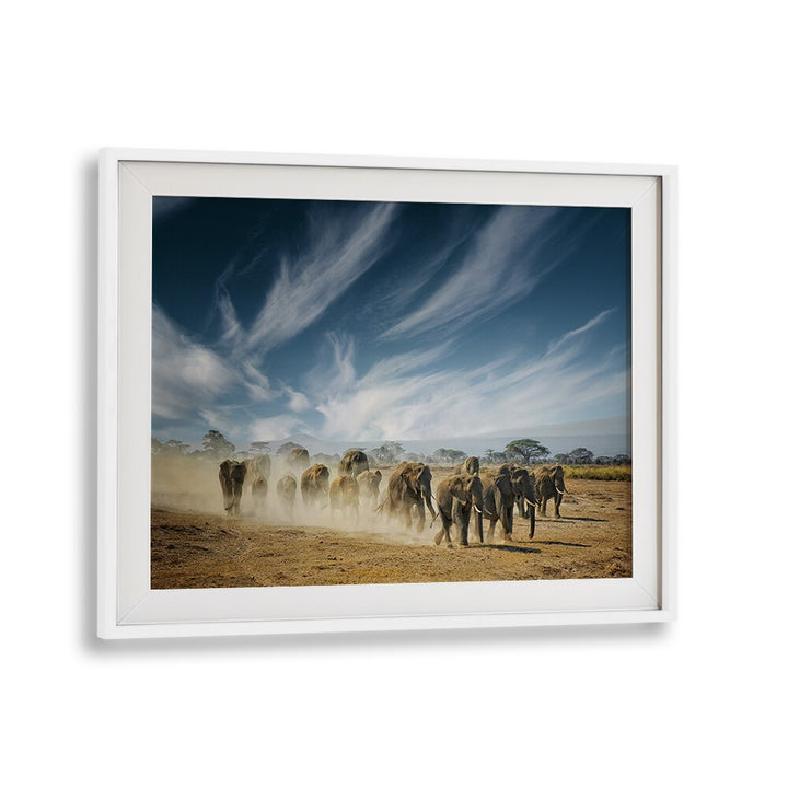 Transform your space with A VERY LONG THINKING, PHOTOGRAPHY PRINTS featuring majestic elephants in stunning landscapes.