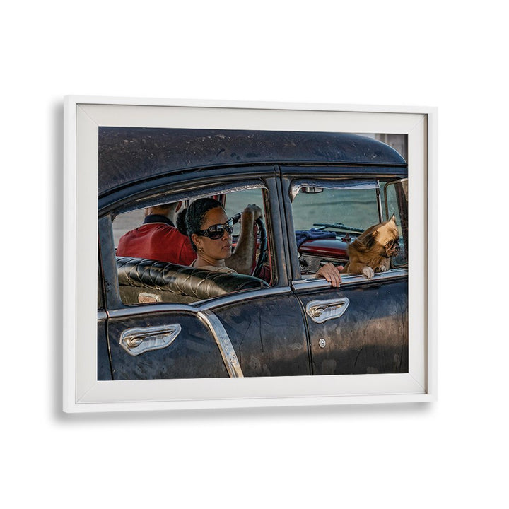 Urban life captured in MALECON II, PHOTOGRAPHY PRINTS, showcasing a woman and her dog in a classic car.