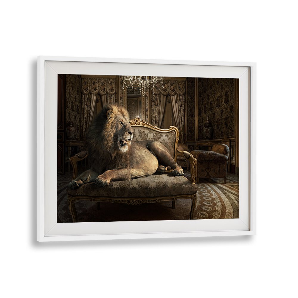 Stunning PALAZZO LION, PHOTOGRAPHY PRINTS featuring a majestic lion in an elegant setting, perfect for art lovers.