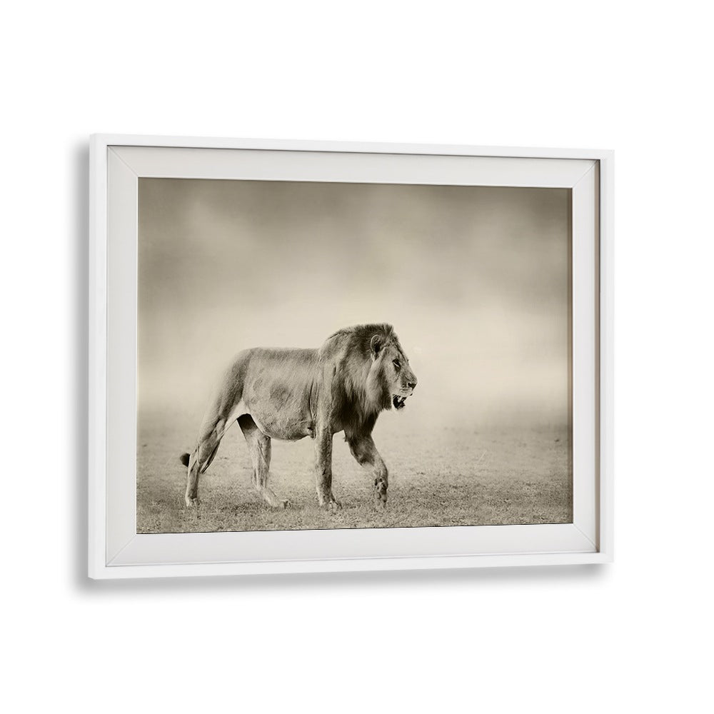 Stunning lion artwork from THE WALK, PHOTOGRAPHY PRINTS collection, highlighting wildlife beauty in fine art.