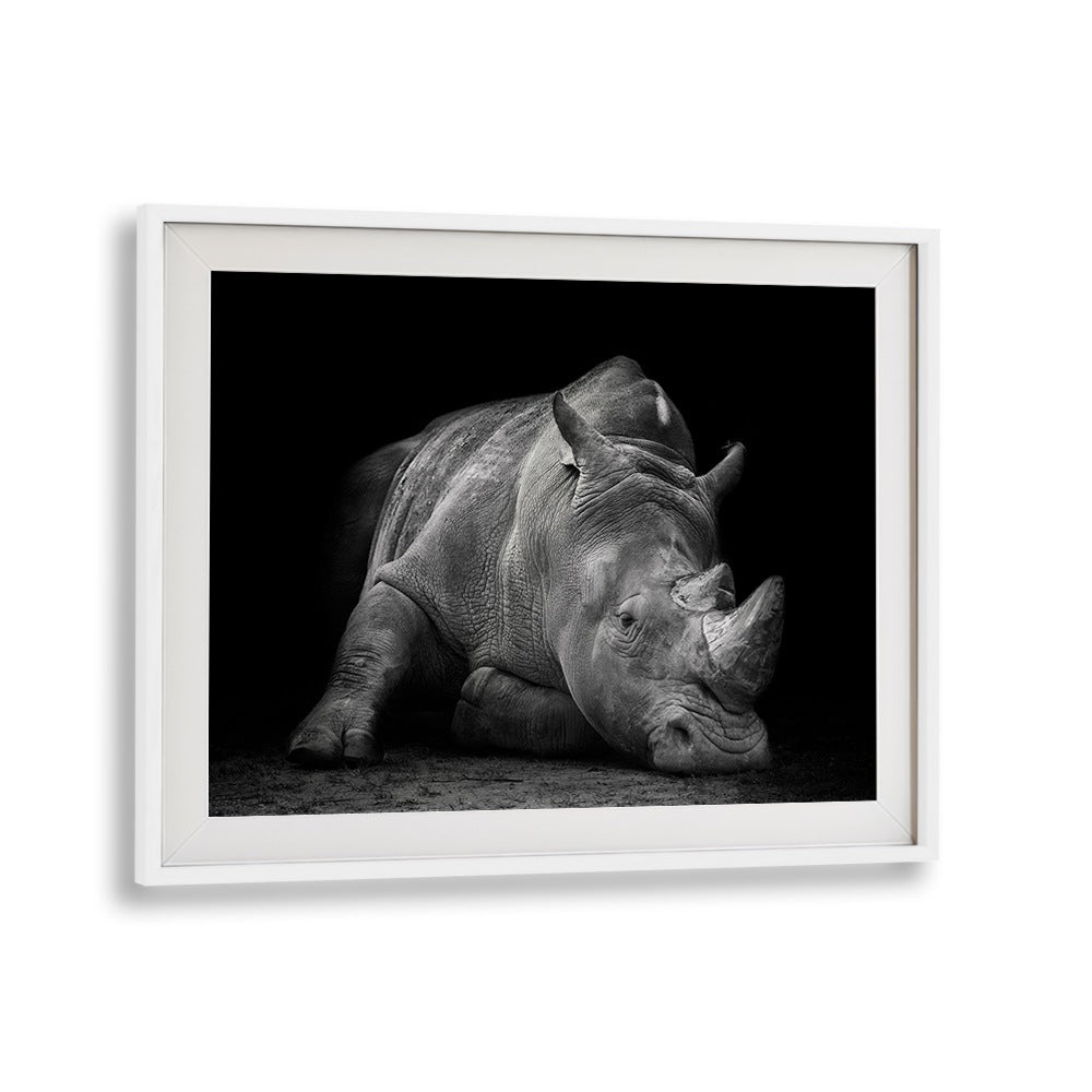 Captivating DEFEATED, PHOTOGRAPHY PRINTS featuring a weary rhinoceros, symbolizing wildlife struggles.