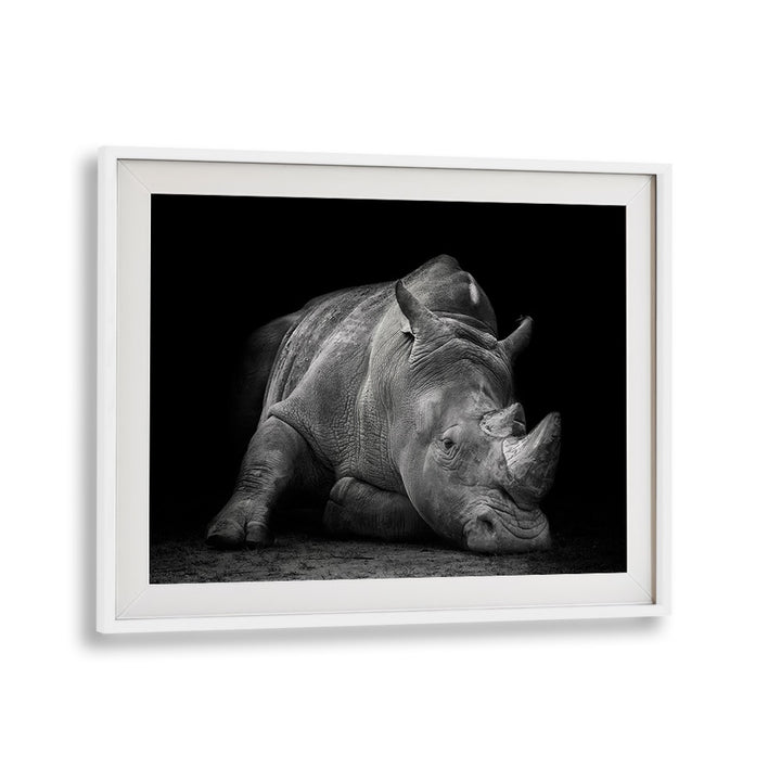Captivating DEFEATED, PHOTOGRAPHY PRINTS featuring a weary rhinoceros, symbolizing wildlife struggles.