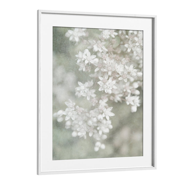 Elegant FADING, FLORAL FLOWER PAINTINGS featuring soft white blooms, perfect for enhancing any decor style.