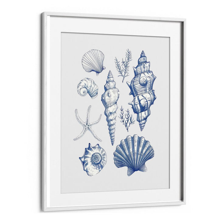 Elegant SHELL COLLAGE, BEACH PAINTINGS featuring various seashells, perfect for a coastal-themed decor.
