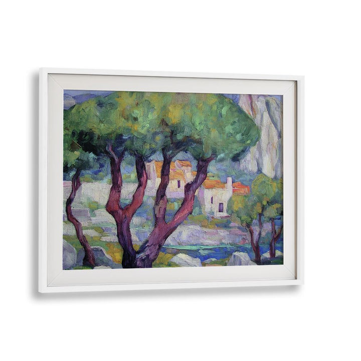 Cypress trees in the mountains create a serene landscape, bringing elegance and tranquility to your outdoor space.