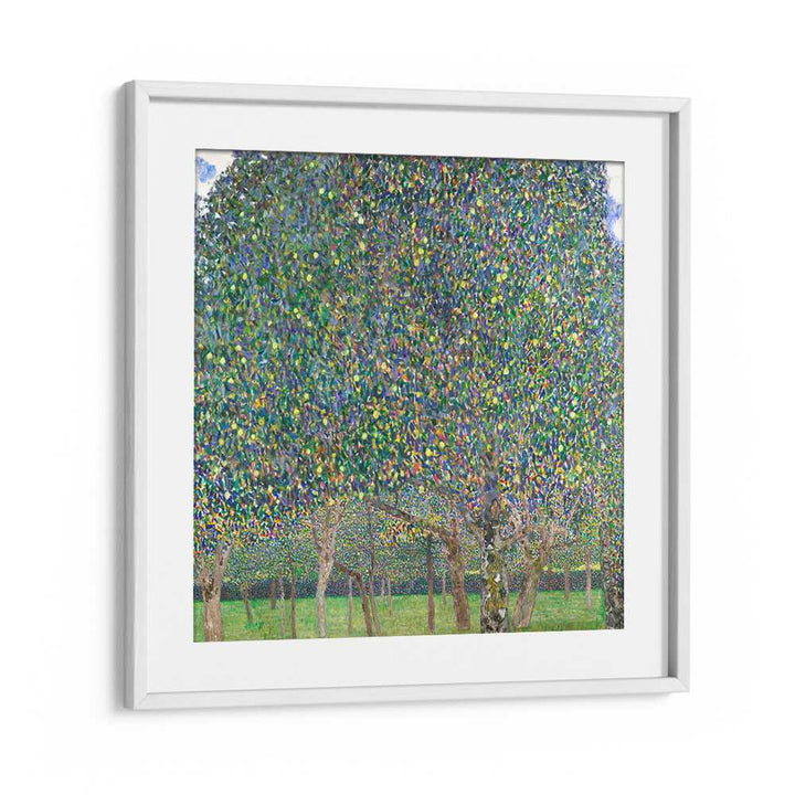 PEAR TREE (1903) , VINTAGE PAINTINGS