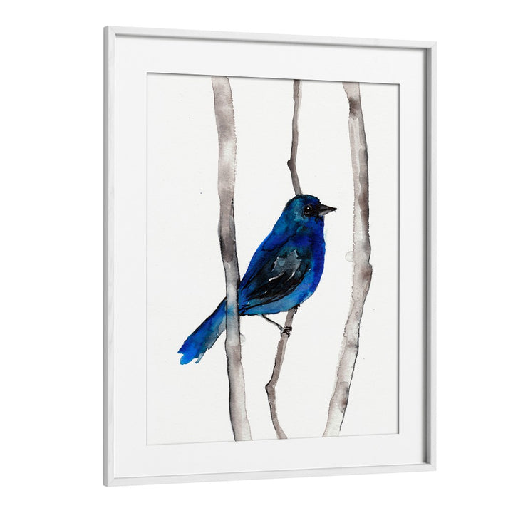 INDIGO BUNTING , ANIMAL PAINTINGS