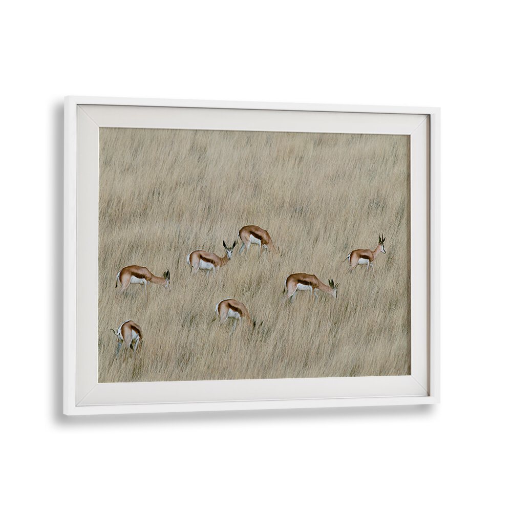 Wildlife gracefully roams through tall grass in WE ARE SPOTTED, PHOTOGRAPHY PRINTS collection, capturing nature's beauty.